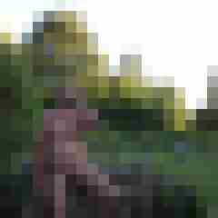 natur-player