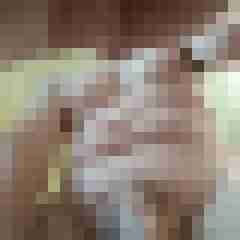 Esox69