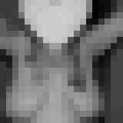 arschstute