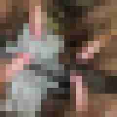 hamue6