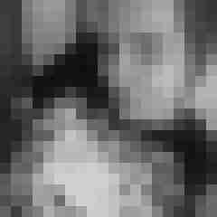 Eule_41