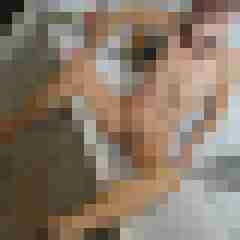 seemann0706