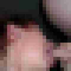 Pigtom