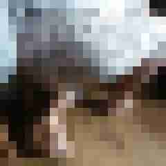 wifelooker