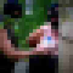 picturefreak