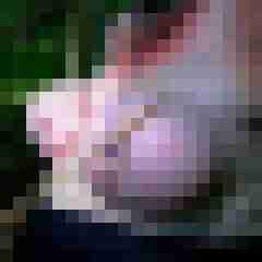 picturefreak