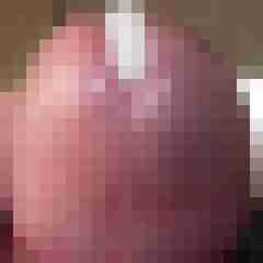 9 Bilder von caudabrevis
