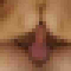sharingpaar06