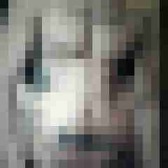 MrGrey1312