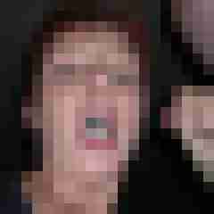 Pigtom