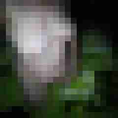 Fickschlampe2006