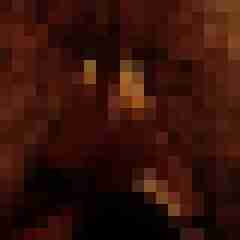 hasehase23