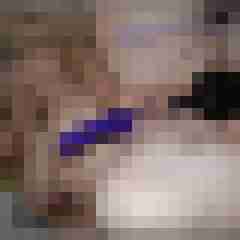Toddel