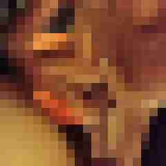 carrot