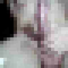 DDiggler2