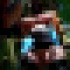 picturefreak