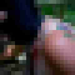 picturefreak