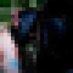 picturefreak