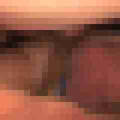 robertbilive