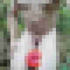 exib1