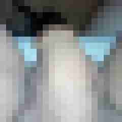 johnporno