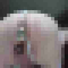cent06333
