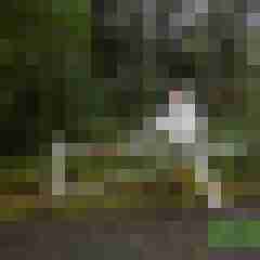 Bare__Glatze