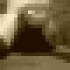 Eule_41