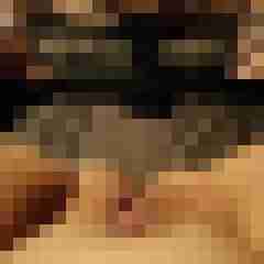 Mistbiene