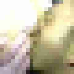 picturefreak