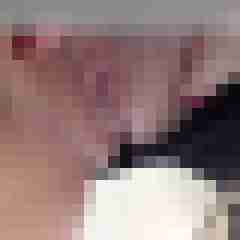 hauk1