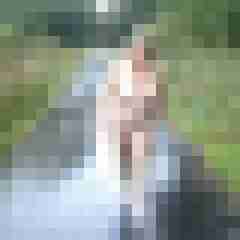 Letsy4u2c
