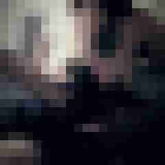 Eule_41