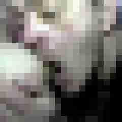 picturefreak
