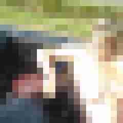 Letsy4u2c