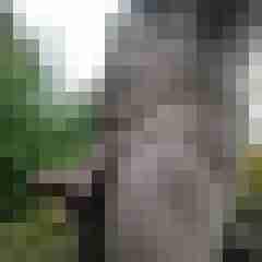 exib1