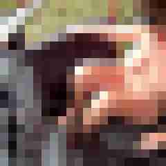 Letsy4u2c