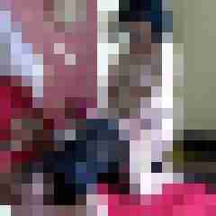 picturefreak