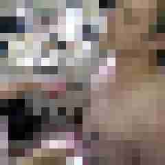 picturefreak