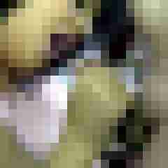 picturefreak