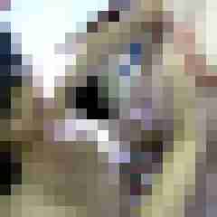 picturefreak