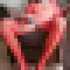 bikerfan666