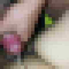 nic12