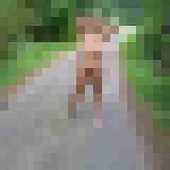 Letsy4u2c
