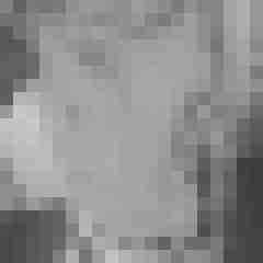 VerruecktesPaar8176