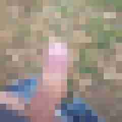 mikefmuc