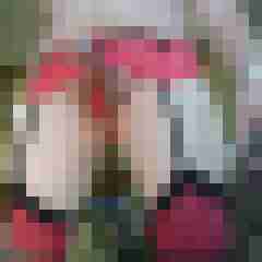 cent06333