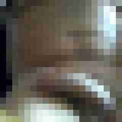 rotauge