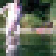 hasehase23
