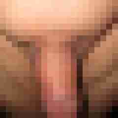 cock01
